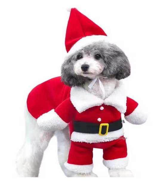 Christmas themed dog costume
